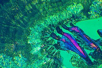 Quand diable arr�terons-nous